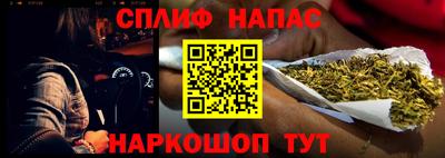 сатива Славгород
