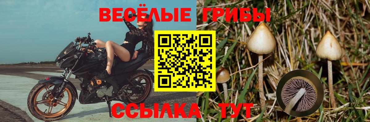 Псилоцибиновые грибы мухоморы  Псилоцибиновые грибы MAGIC MUSHROOMS  Вход с VPN  Новороссийск 