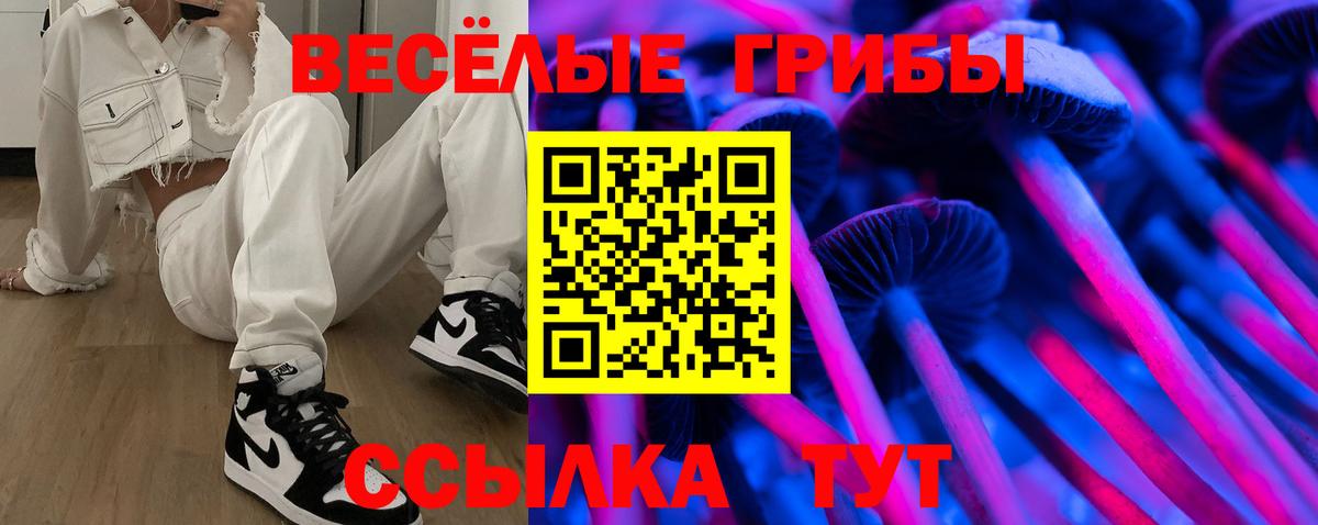 Галлюциногенные грибы Magic Shrooms Новороссийск